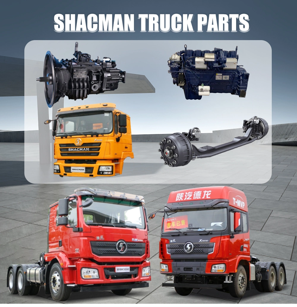 Shacman F2000/L3000/M3000/F3000/X3000 Weichai Wp10/Wp12/Wd12 Cummins Engine 12js160/12js160t/12js180/12jsd200 Fast Gearbox Hande/Str Axle Truck Spare Parts